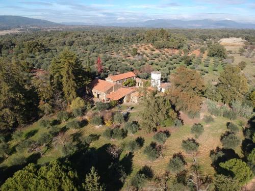 Idanha-a-Nova Cabin | Quinta do Vale Coelheiro