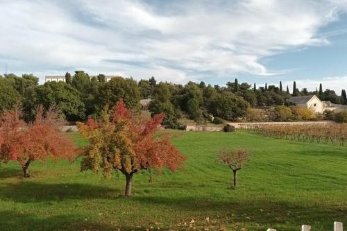 Selva di Fasano Villa | Racconto di Puglia - Selva di Fasano