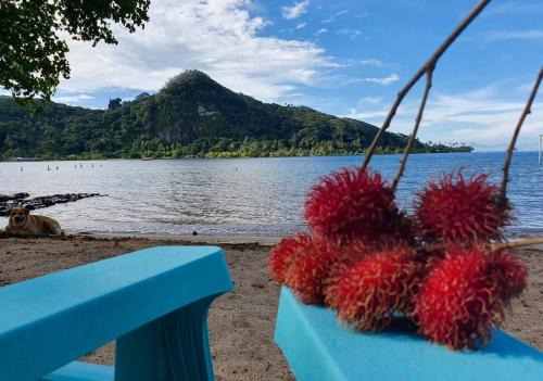 Opoa Apartment | RAIATEA, Opoa, Studio du Fare Rêvé, accès mer privatif