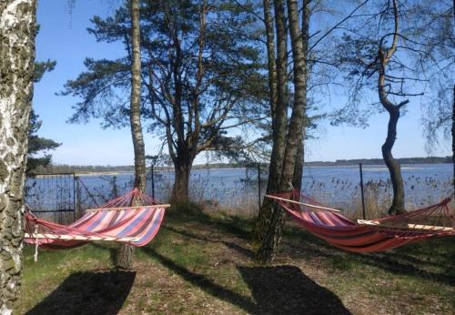 Sulejow Apartment | Raj nad wodą linia brzegowa, Deska SUP, grill altana hamaki ognisko BRZÓZKI 2, miejsce dla max 6 osób i dwójki dzieci, jedna sypialnia z małymi łóżkami