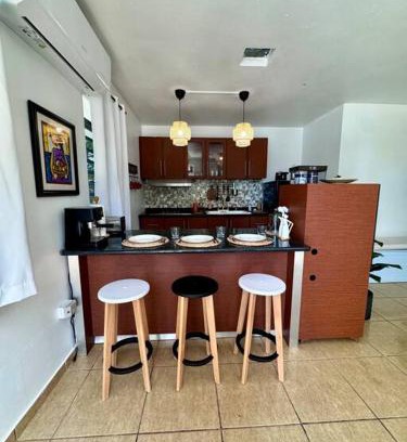Maleza Baja Apartment | Ramey Loft 2