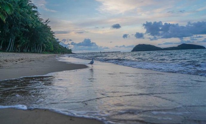 Palm Cove Apartment | Rare! Modern Unit W/ Private Fenced Garden Close To The Beach Pc3
