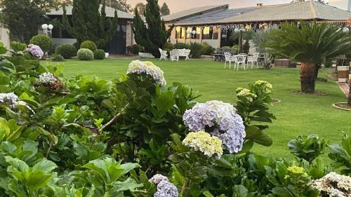 Gama House | Recanto das Eugenias