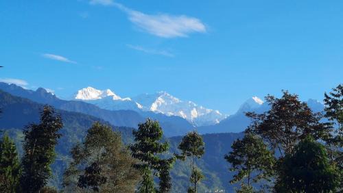 Geyzing Resort | Red Panda Jungle Camp - A Unit of Davinchi Homes Pvt Ltd