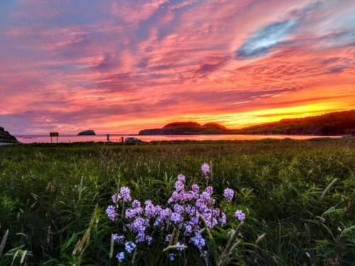 Twillingate House | Red Sunset Cottage in Twillingate