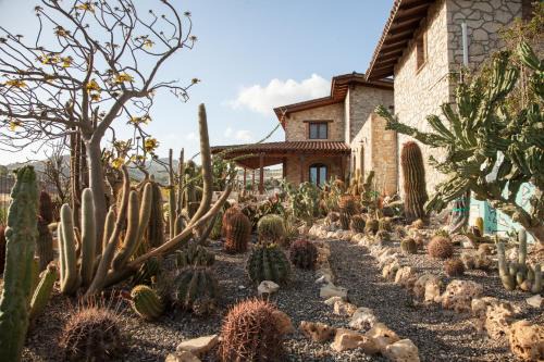 Favara House | Relais Garden Cactus B&B