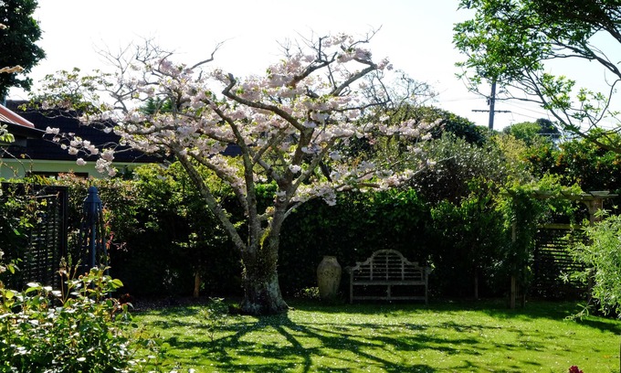 Otaki House | Relax in a quiet Garden Retreat