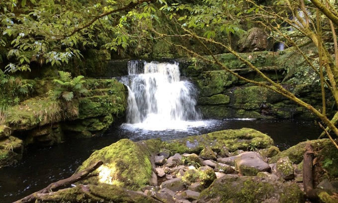 Owaka Bed & Breakfast | Relax in style at the Catlins Retreat, historic villa in the heart of Owaka