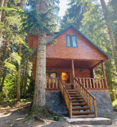 Glola Apartment | Rest House