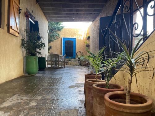 Sidi Bibi Apartment | Riad Targante Takate 1