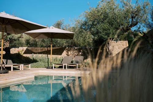 Riglia Villa | Riglia Villas - Villa Olive