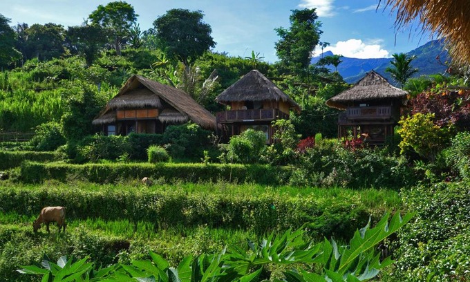 Bayan Resort | Rinjani Mountain Garden