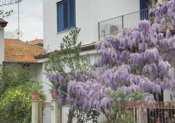 Giulianova Apartment | RITA'S ROOM ON THE SEA