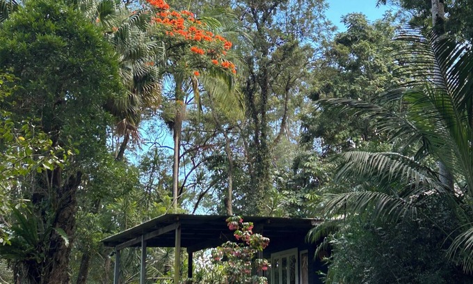 Federal Cottage | River House (aka Federal Hilton) - Byron Bay Hinterland holiday cottage