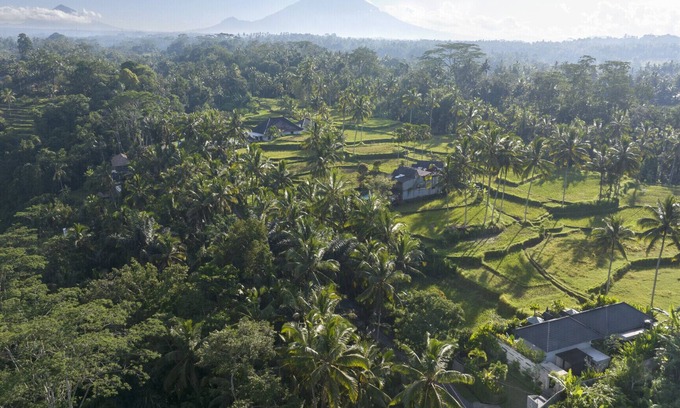 Tegallalang Villa | Romantic Private Pool Villa Jungle View