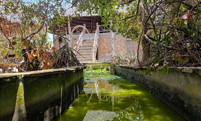Gede House | Room in B&B - Mida Creek Eco Camp Community Project,mida Creek Watamu Kilifi County