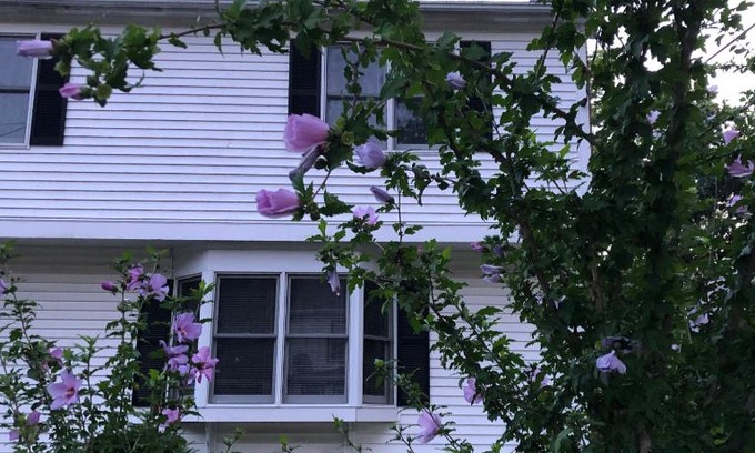 West Roxbury House | Room in Single Family House - Suburban Neighborhood in Boston