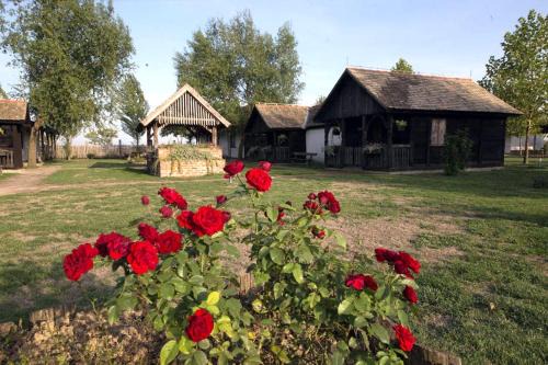 Tordinci House | Rooms with a parking space Tordinci, Slavonija - 15159