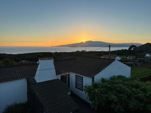 Monte House | Rosa do Canto