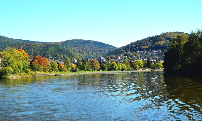 Eberbach Apartment | ROSENTURMBLICK - centrally located, furnished apartment for temporary rental