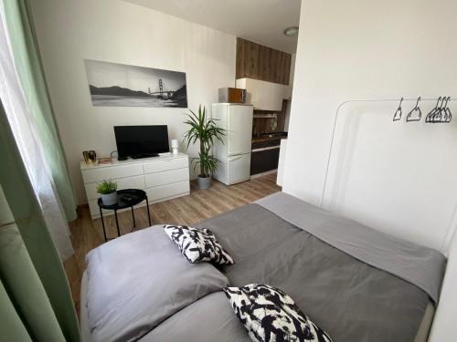 Rovinka Apartment | ROVAO Apartment, 1-2 guests, Free Parking & Wifi, 30min from Downtown