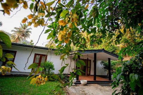 Dambulla Hotel | Royal Heritage Resort