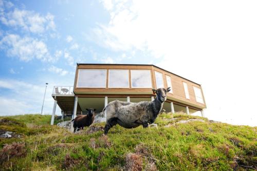 Heroy Apartment | Runde Panorama - Trollvogga