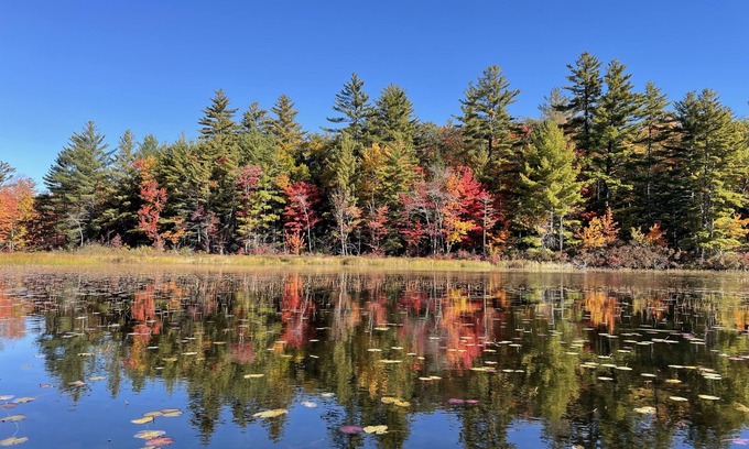 Pittsfield House | Rustic and luxurious 4 bedroom house on secluded NH lake!