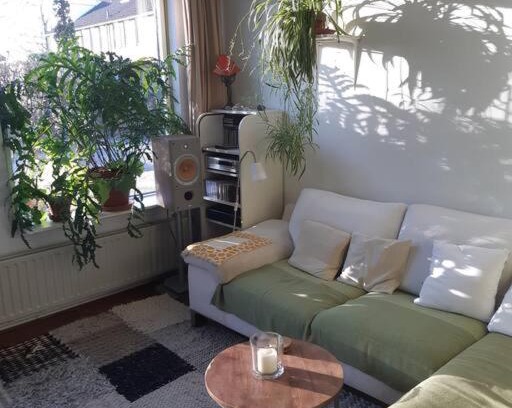 Municipality of Zutphen House | rustige hoekwoning met bad, piano en tuin