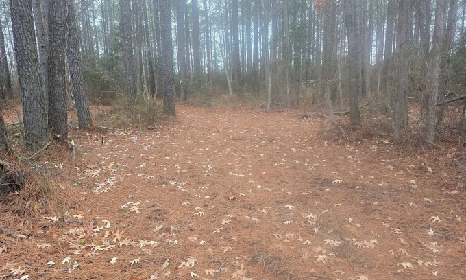 Diggs RV Rental | RV Site On Blanchard Farm -MAX RV LENGTH 24 FT