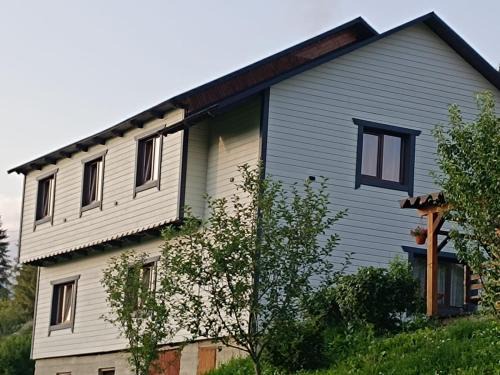 Yablunytsya House | Saduba Pushkarivchyk