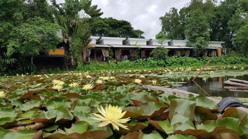 Chiang Rai Resort | Saikaew Resort