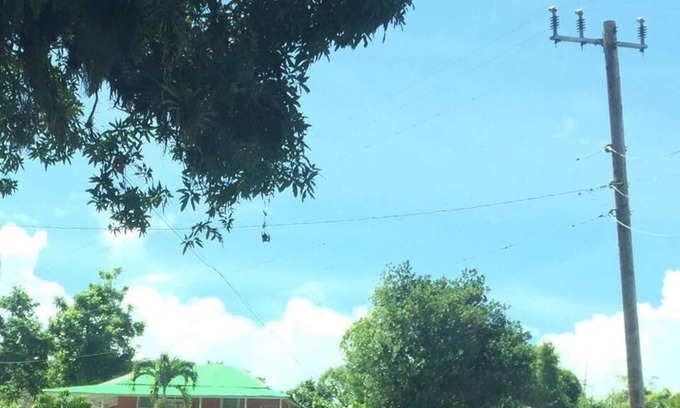 Port Antonio House | Salubrious Mount View; 15 minutes from the renowned Frenchman's cove