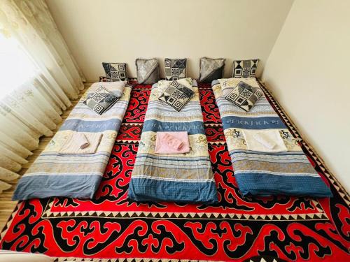 Naryn Region House | Sanera Bega Guesthoise