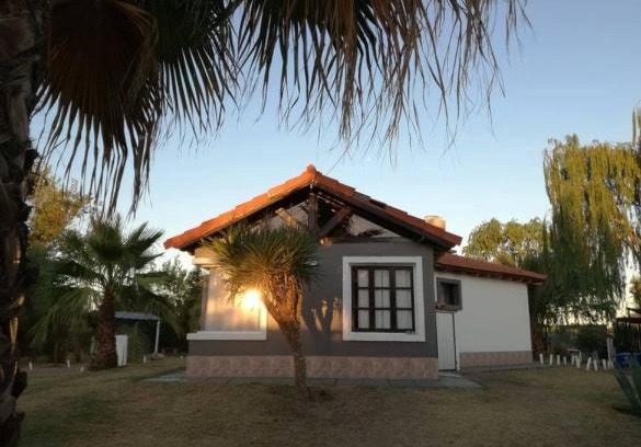 Cuadro Nacional House | Sangiovese II