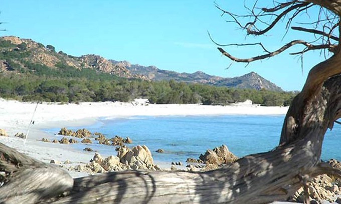 Orosei Apartment | Sardinia-Orosei-east coast-apartment in villa 300 meters from the sea.