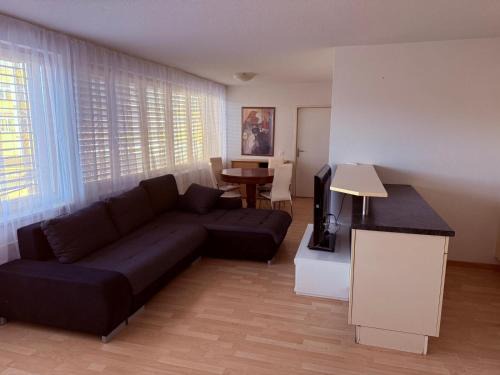 Schonenwerd Apartment | SASS APARTHOTEL