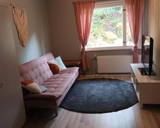 Kauttua Apartment | Saunallinen yksiö, 4 vuodepaikka
