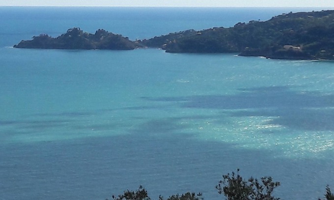 Zoagli House | SEA AND OLIVE TREES PORTOFINO