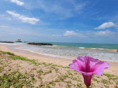 Hikkaduwa Bed & Breakfast | Sea View Villa