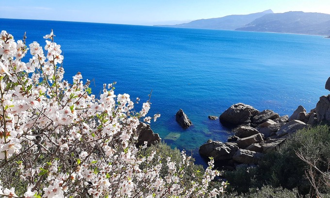 Cefalu Apartment | seaside villa