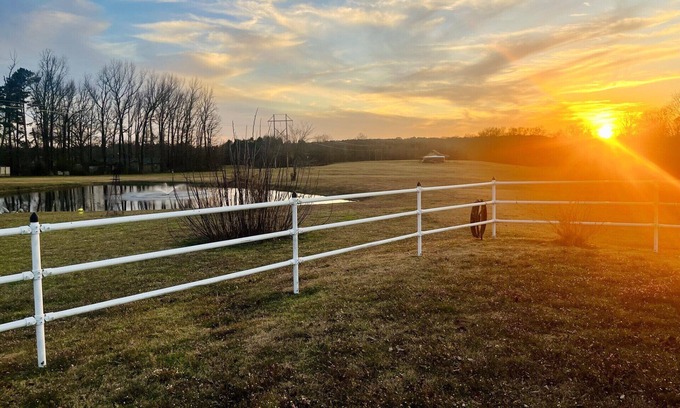 Broken Bow Other | Secluded 80 acre farmhouse ,newly renovated, with private pool, and so much more