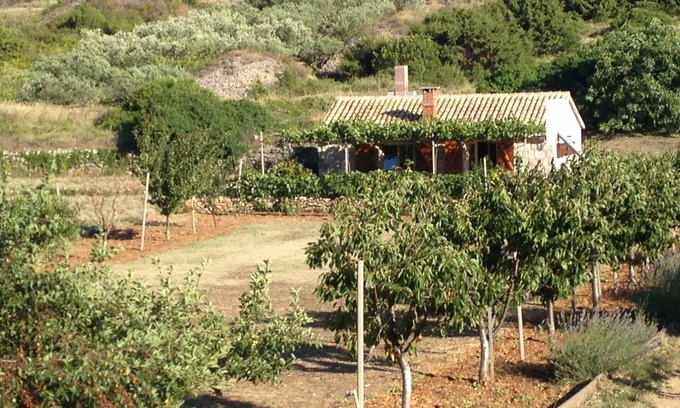 Zena Glava House | Secluded house with a parking space Podhumlje, Vis (K-13984)