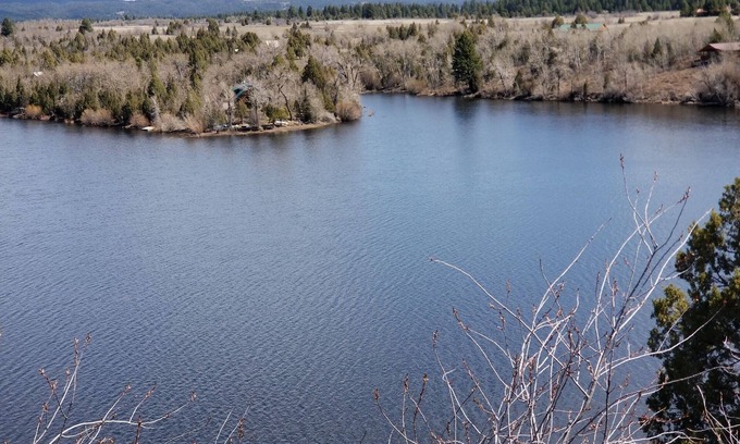 Ashton Cabin | Secluded Lakefront Log Cabin, Wildlife and Fishing Paradise, Pet Friendly