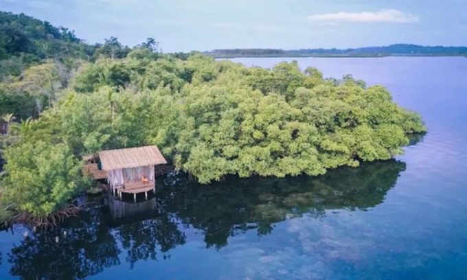 Tierra Oscura Cabin | Secluded Coconut Cabin, bioluminescence and coral!