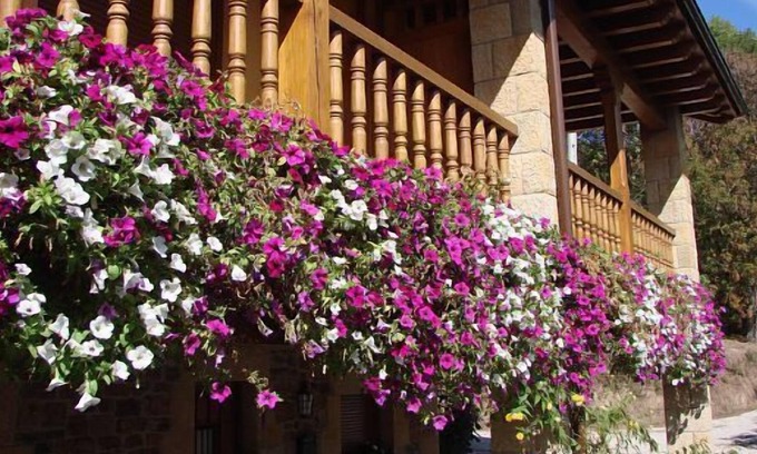 Cabezon de Liebana Cottage | Self catering La Real de Piasca for 7 people