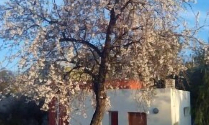 Calles Cottage | Self catering cottage La Aldea for 4 people