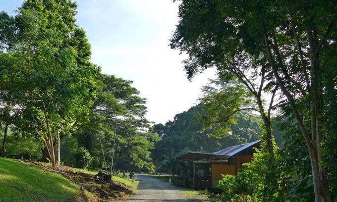 Sepilok Bed & Breakfast | Sepilok B&B