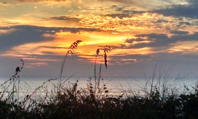 Port St. Joe House | SEPT. is 15% off! GULF FRONT 3 BR/3.5 bth townhome, steps to the beach! Dogs OK