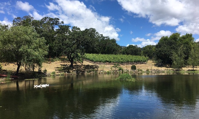 Sonoma Cottage | Serene Pied a Terre in the Wine Country (TOT 695N)
